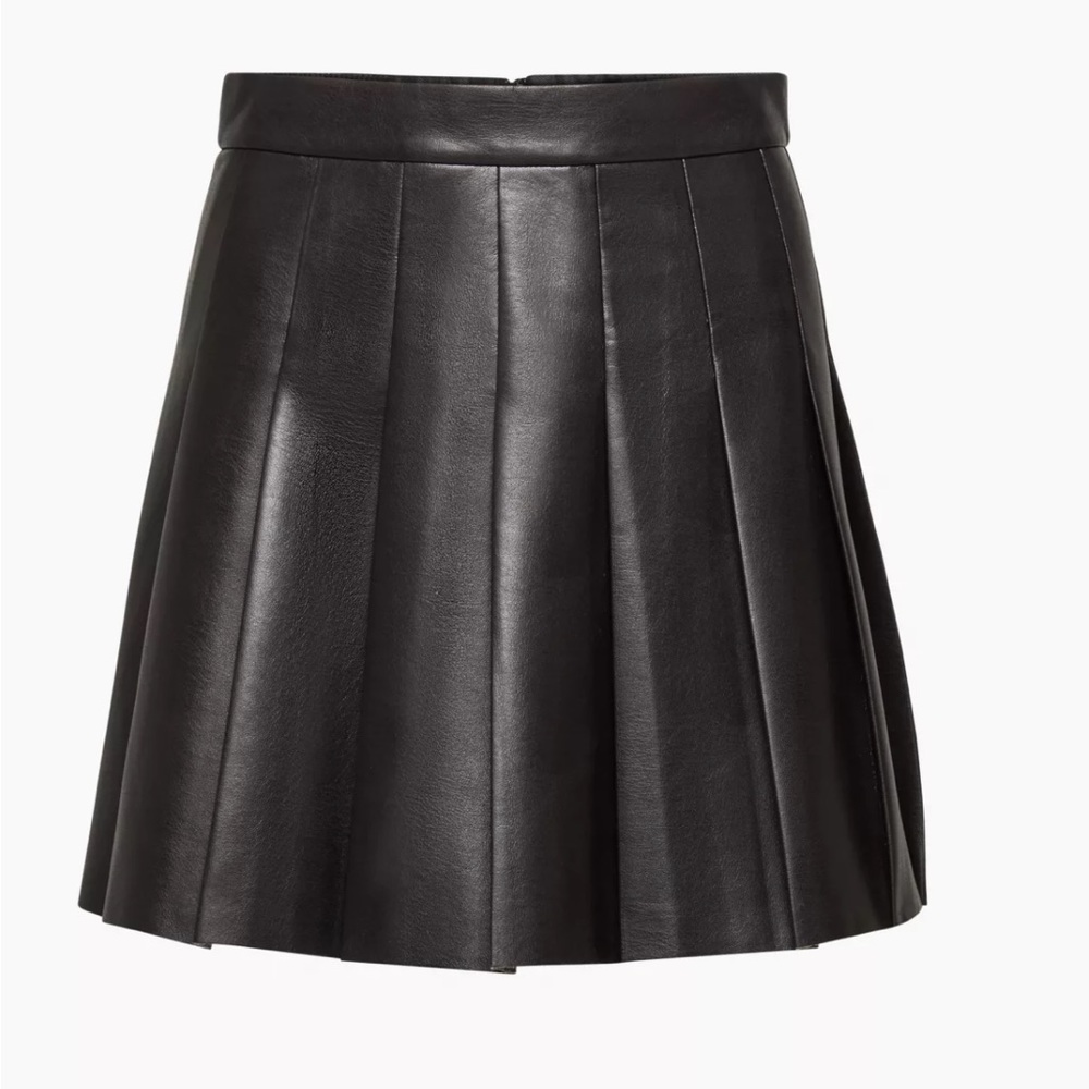Aritzia Sunday Best Pleated Skirt